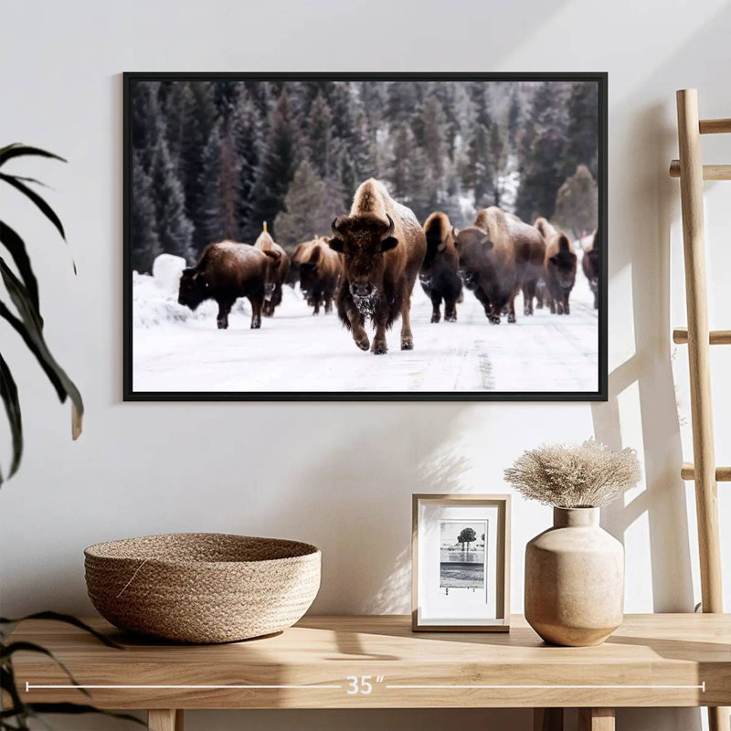 Bisons d'hiver, 25 po x 17 po, Cadre flottant noir