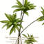 Plantes artificielles réalistes pour la décoration intérieure-397754019