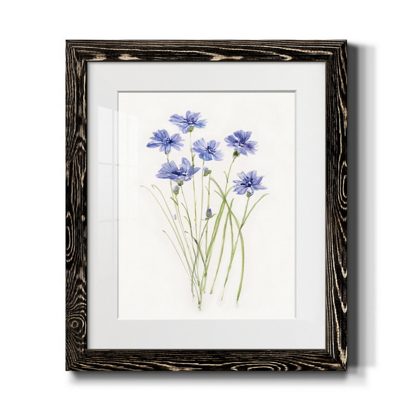 Bleuet botanique délicat - impression, H 20 po x l 17 po x P 1 po, Noir