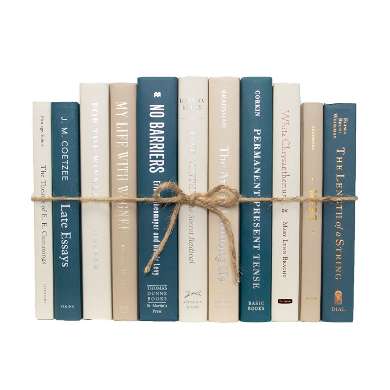 Livres décoratifs - Ensemble de livres Northern Shore - 1 pied de livres bleus