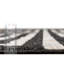 Tapis noir / beige Barreto Performance-1083628646