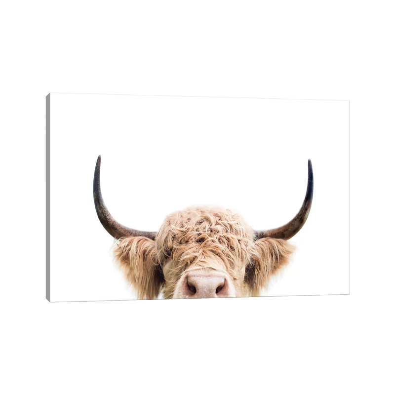 «Peeking Cow» par Sissi & Seb - reproduction de photo, Toile tendue, H 26 po x l 40 po x 1,5 po