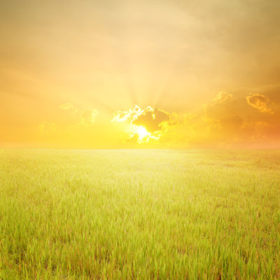 " Grass Fields And Sunset "