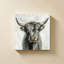 Vache Highland-1637911695
