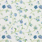 Bluebell