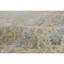Floral Area Rug-913294784