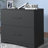 Lithgow 30.35'' Wide 2 -Drawer File Cabinet-365605055