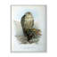 Vie d'oiseau rétro V - peinture sur toile-59814591-59814595