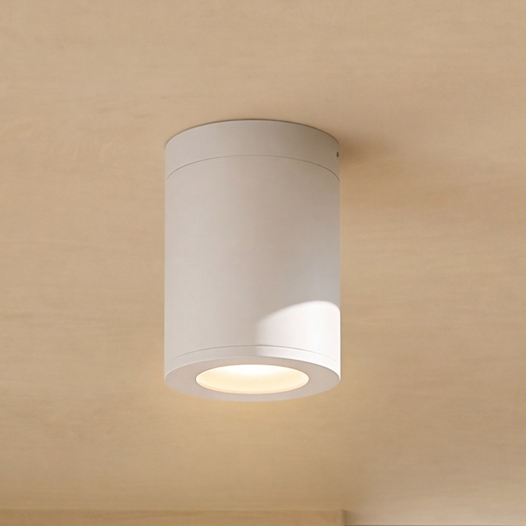 Brissia Cylinder Outdoor Flush Mount, Satin White