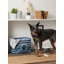 Cube en tissu pour animaux de compagnie-2114228809-2114228813