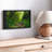 Forest Stream Canvas Print-102354263