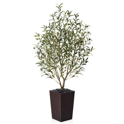 152.5cm Tree