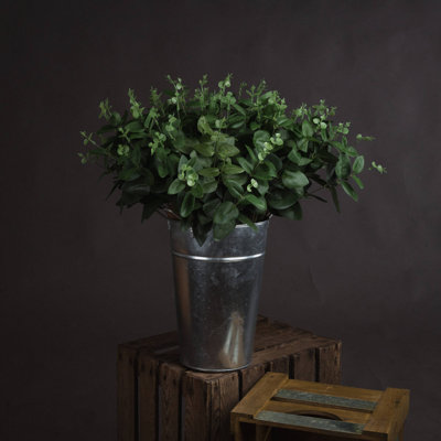 Anastasija Arrangement