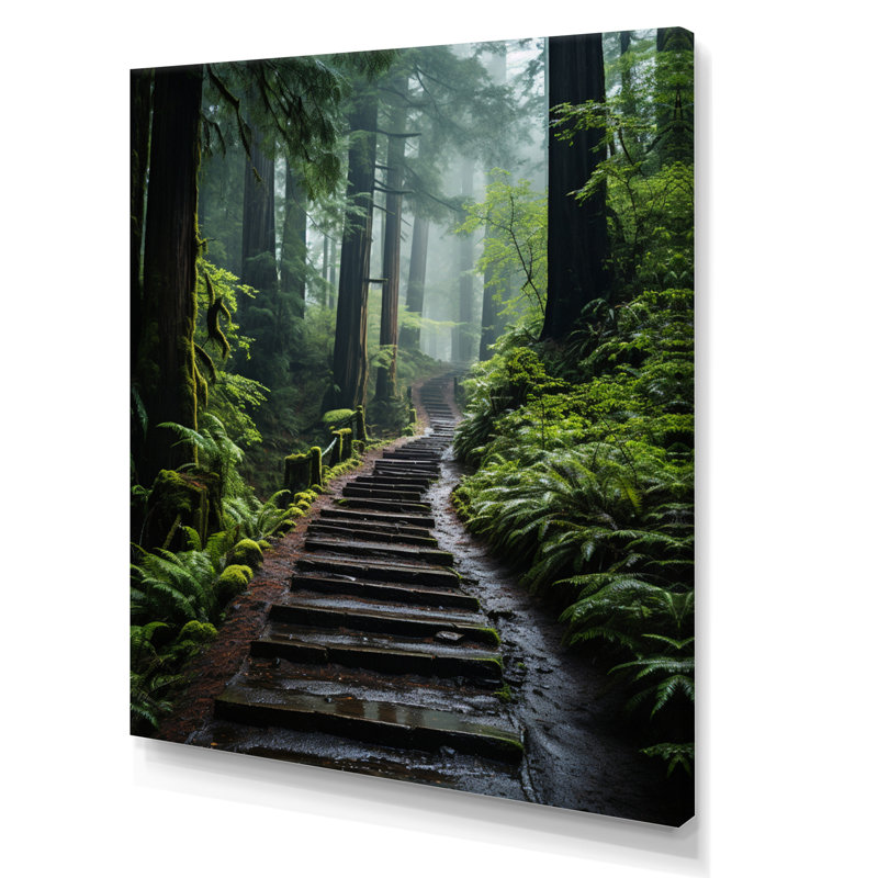 «USA Muir Woods National Monument I», reproduction d'art sur toile, H 32 po x l 16 po x P 1 po, Toile tendue