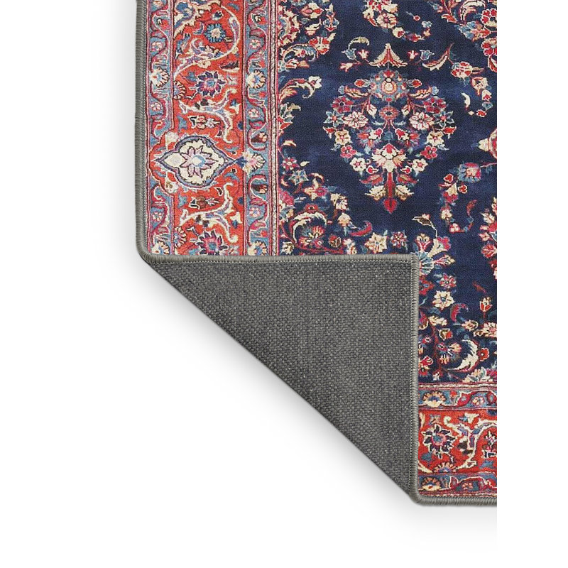 Tapis rouge/bleu traditionnel Pottsgrove, Rectangle 5 pi x 7 pi
