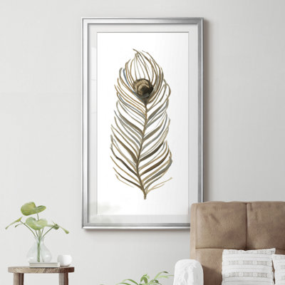 Soft Feather II - Natural History Print, Matted and Framed Under Glass, Study and Living Room Wall Art