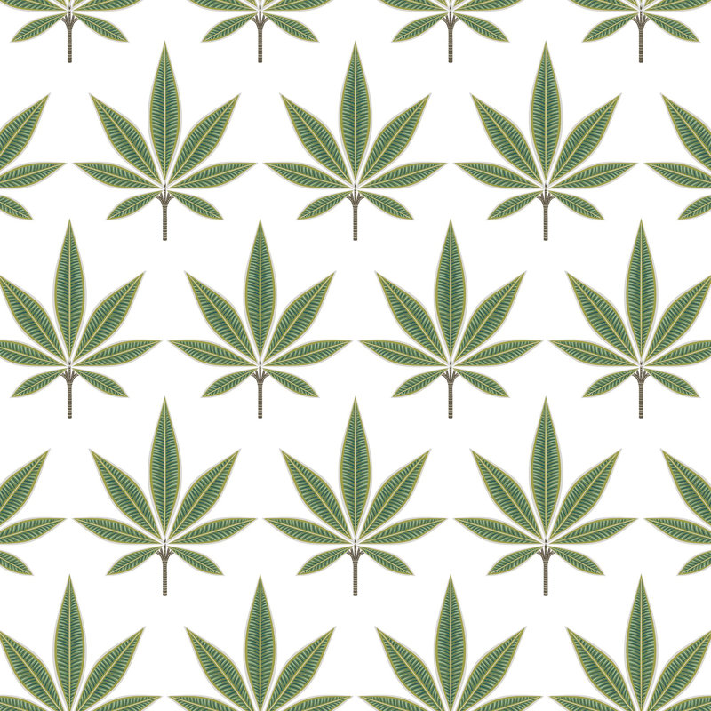 Brendan 8.23m x 68.58cm Matte Wallpaper Roll, Green/White