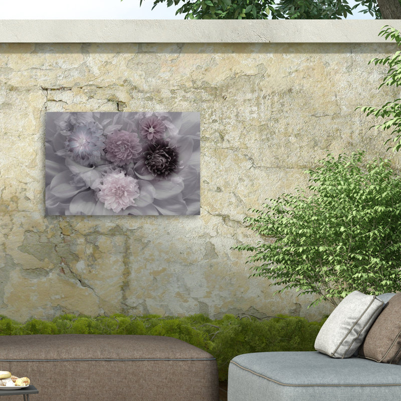 Rêve de dahlia, H 12 po x l 19 po