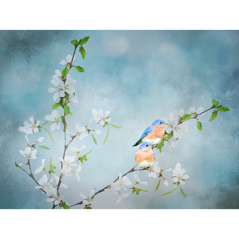 Blue Birds In Cherry Blossoms 3 Print, Black Framed Paper, 25.25" H x 31.25" W