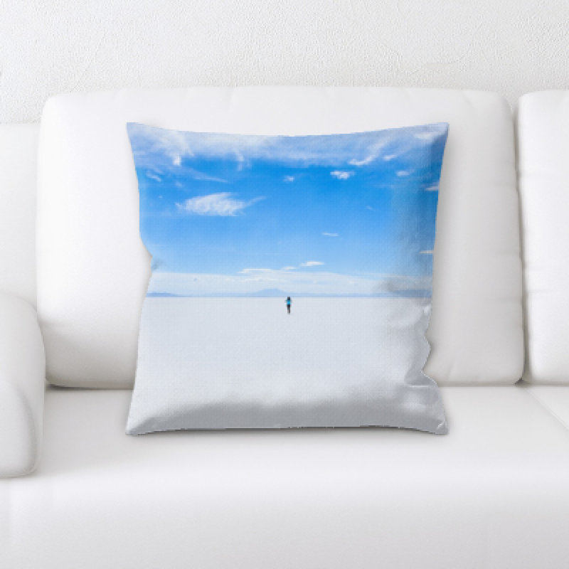Coussin décoratif
