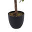 185cm Faux Zamioculcas Tree in Freestanding