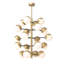 Cona 20 - Light Chandelier
