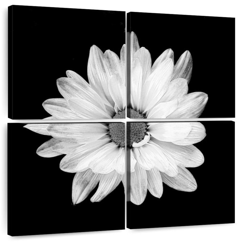 Harnek BW - marguerite blanche, H 57 po x l 57 po