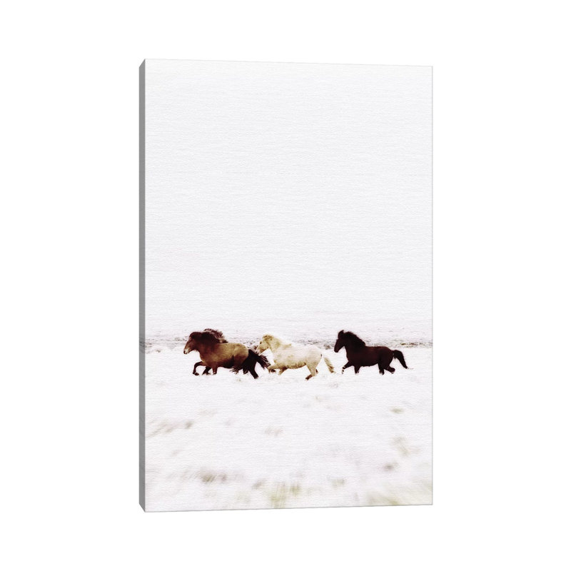 Wild Horses Iceland VIII by Monika Strigel - Print on Canvas, 45.72cm H x 30.48cm W x 1.91cm D, Wrapped Canvas