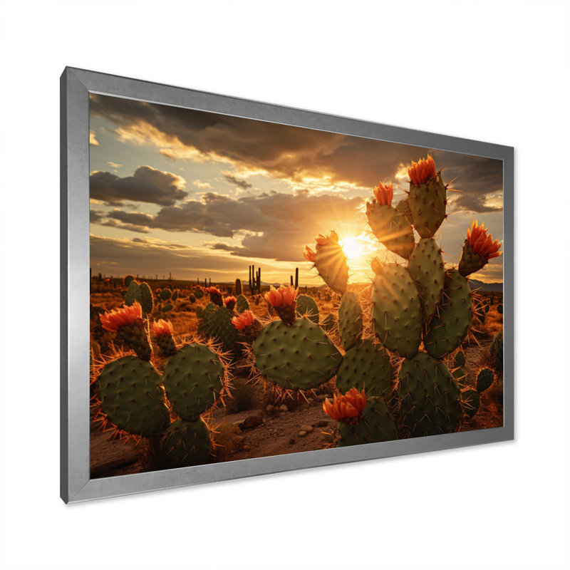 Champ de cactus vert avec coucher de soleil - impression, H 30 po x l 40 po x P 1,5 po, Cadre simple argenté