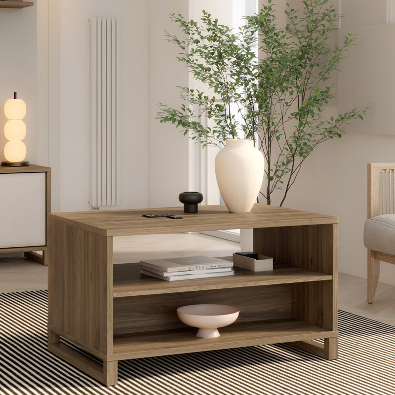 Ekram Coffee Table with Storage