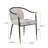 Modern Upholstered Dining Chair-248557639