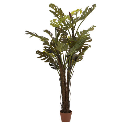 Split Philo 175 cm H Faux Tree Plant in Plastic Pot