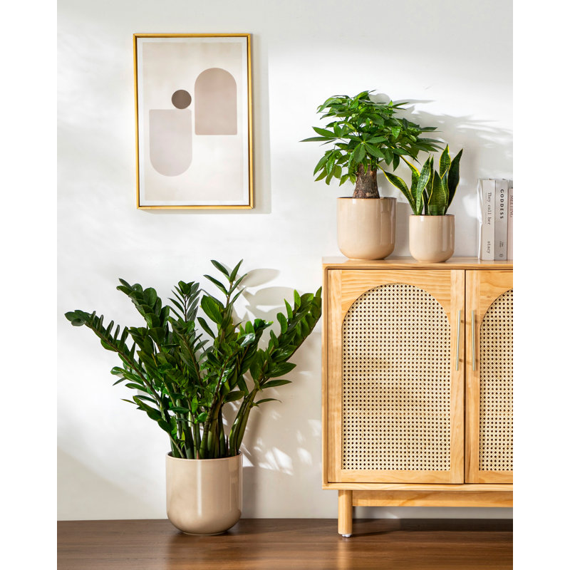 Ceramic Pot Planter, Brown