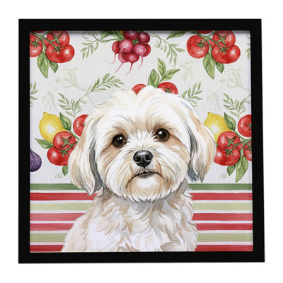 White Lhasa Apso Vegetables Framed Metal Print