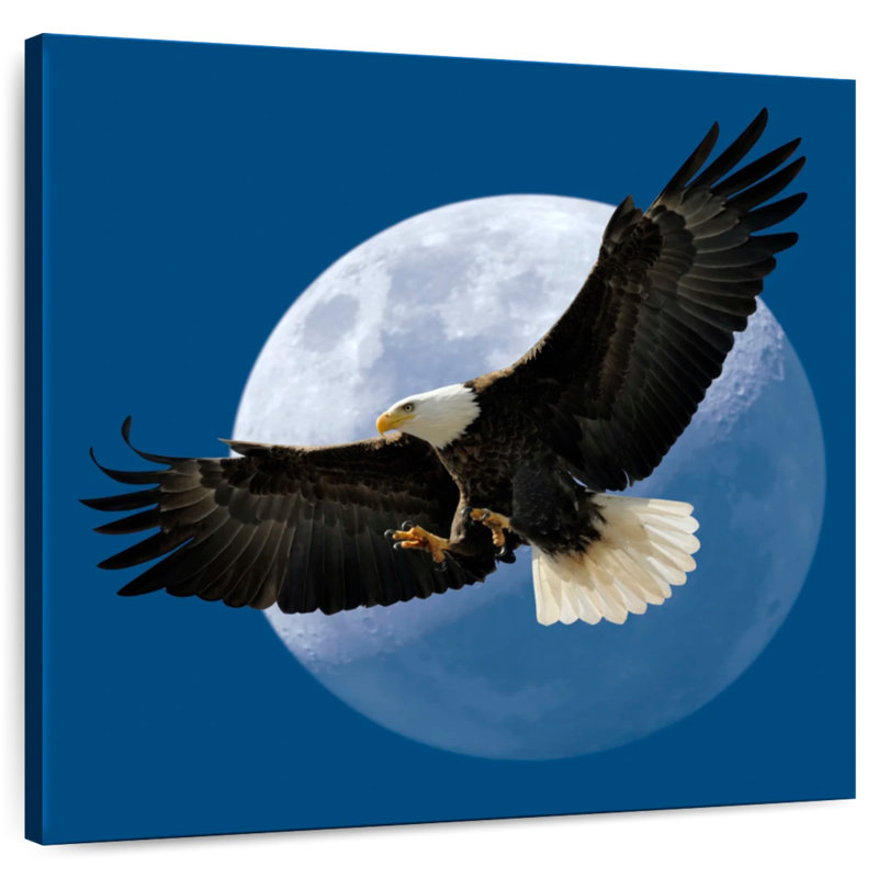 Crowle Midnight Bald Eagle, 10" H x 10" W