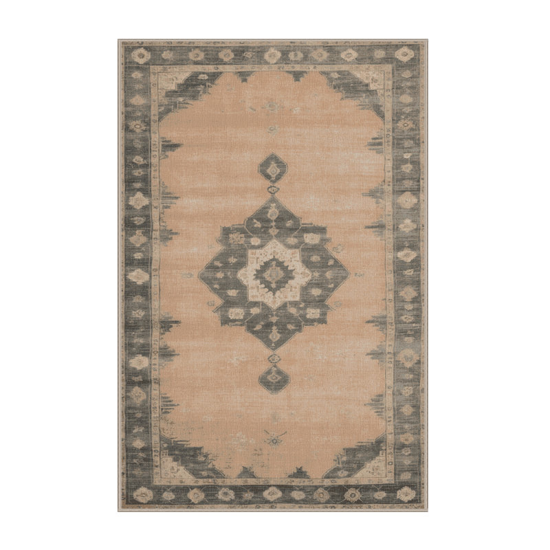 Machine Washable Overdyed Brown Area Rug