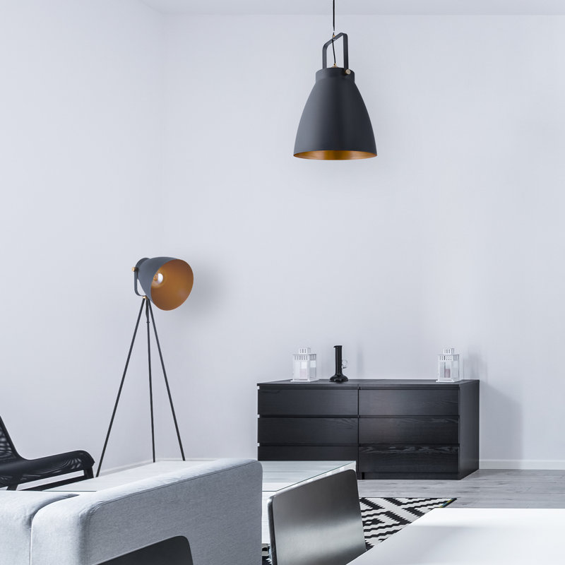 Iliana 1 - Light Single Pendant, Anthracite/Gold