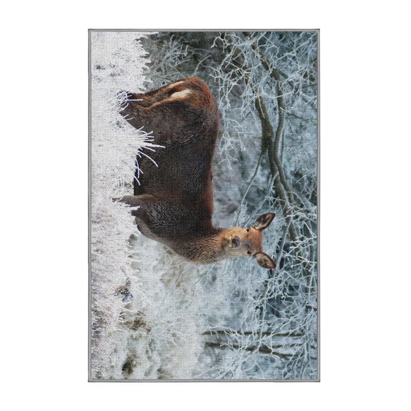 Tapis de la zone brune cerf, Rectangle 2 pi x 4 pi
