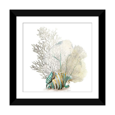 " Coral II "