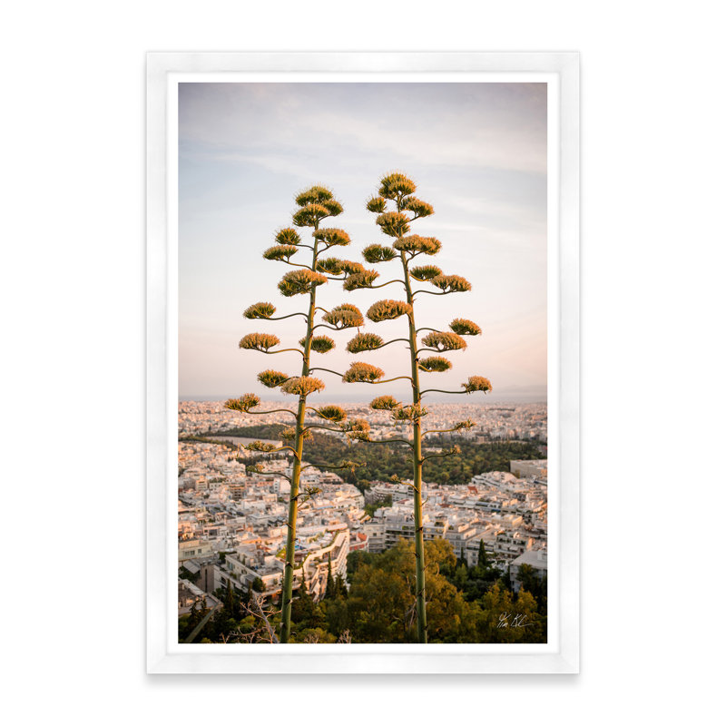 Agave sur les hauteurs d'Athènes II, Blanc, H 42 po x l 29 po x P 1,5 po