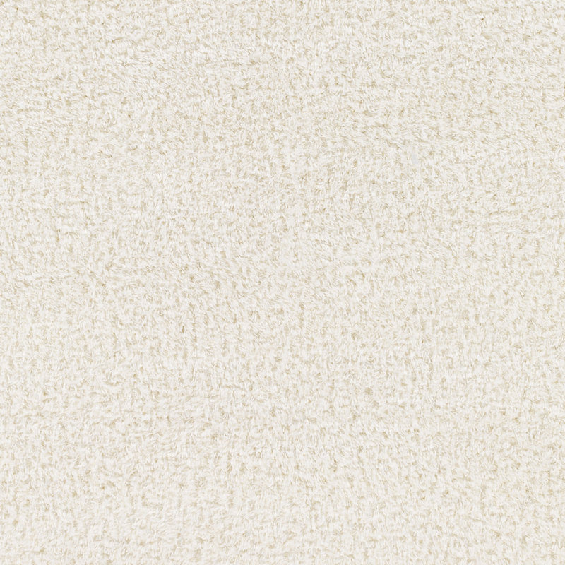 Solid Shag Area Rug - Basics by Wayfair™, Rectangle 6'7" x 9', Ivory