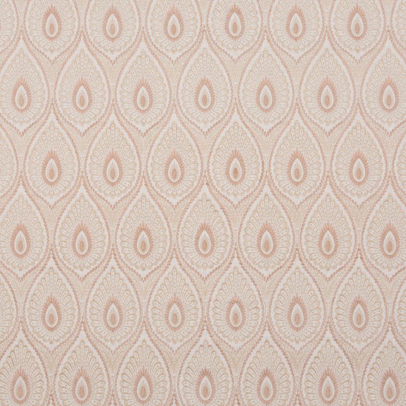 Ashmore Fabric, Shell