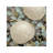 'Aquatic 2' Photographic Print on Wrapped Canvas-258955197