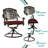 4 - Person Patio Dining Set with Round Table , Cushions Included-336504107
