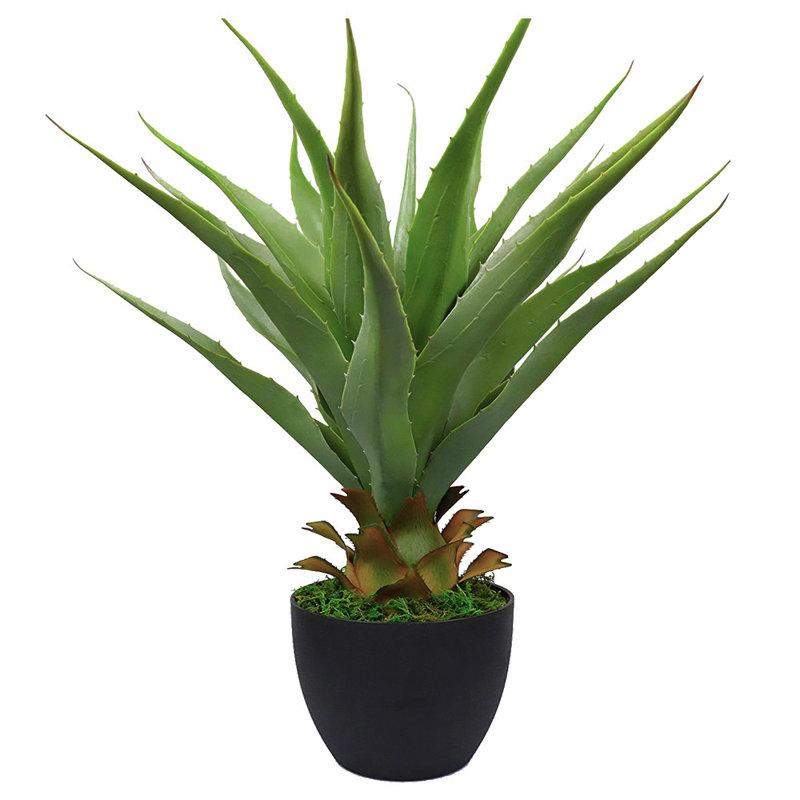Agave 27 po plante artificielle avec pot, Noir