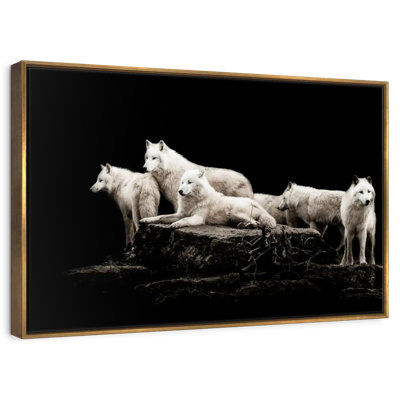 Loups blancs