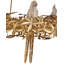 Lustre aviaire doré
