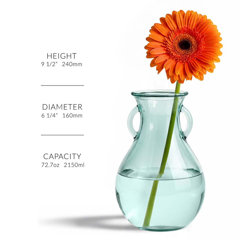 Grand vase en verre de style champêtre français, 9,5 pouces, capacité de 73 oz, H 9,5 po x l 6,25 po x P 6,25 po