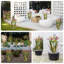 Garden Art-1873615107