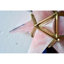Petit lustre Gwynevere Serena-1669869137-1669869138-1669869139